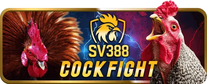 Cá cược thể thao UU88